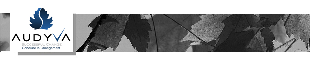 Logo Swiss Institute for Appreciative Inquiry