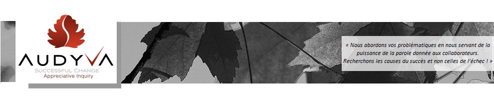 Logo Swiss Institute for Appreciative Inquiry